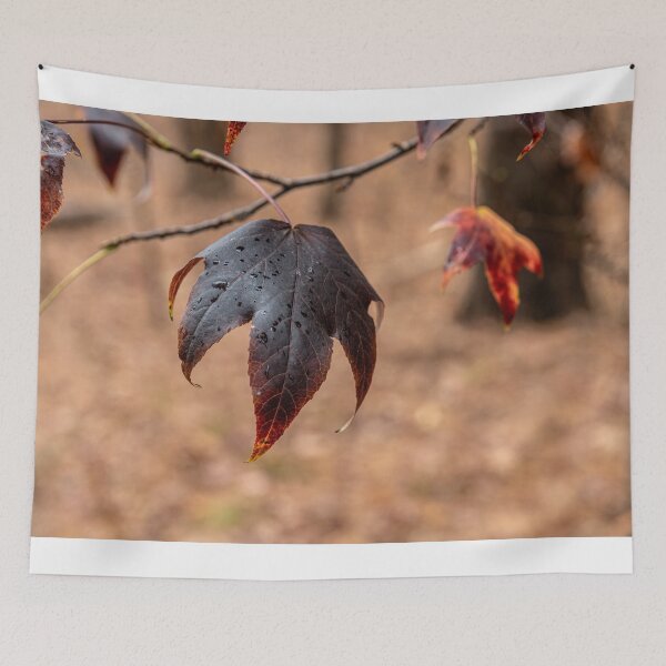 Item preview, Last Leaf designed and sold by AndyKazie.