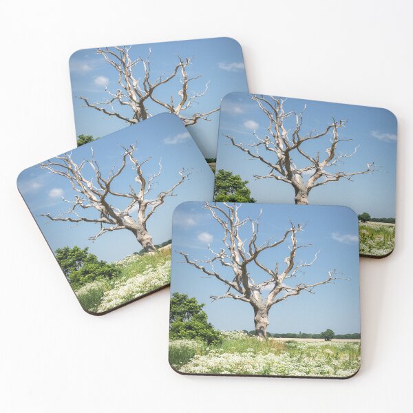 Item preview, Shirley Moor designed and sold by JEZ22.