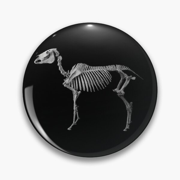 Item preview, horse skeleton designed and sold by mrzonka.