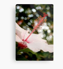 Antenna Metal Print