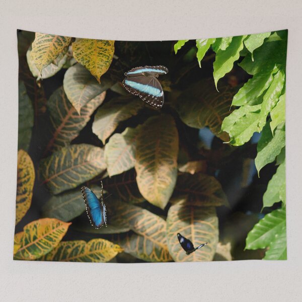 Item preview, Blue and Banded Morpho designed and sold by Jouko Lehto Photography.