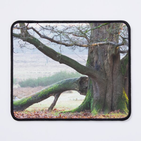 Item preview, The old oak on the heath designed and sold by jchanders.