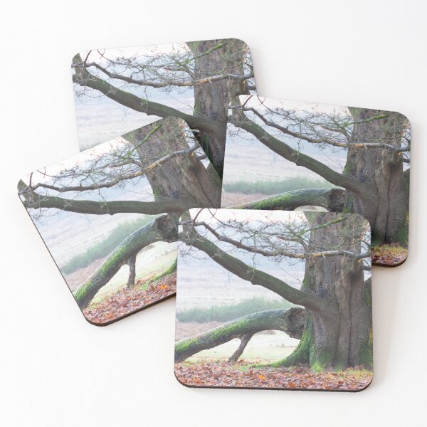 Item preview, The old oak on the heath designed and sold by jchanders.