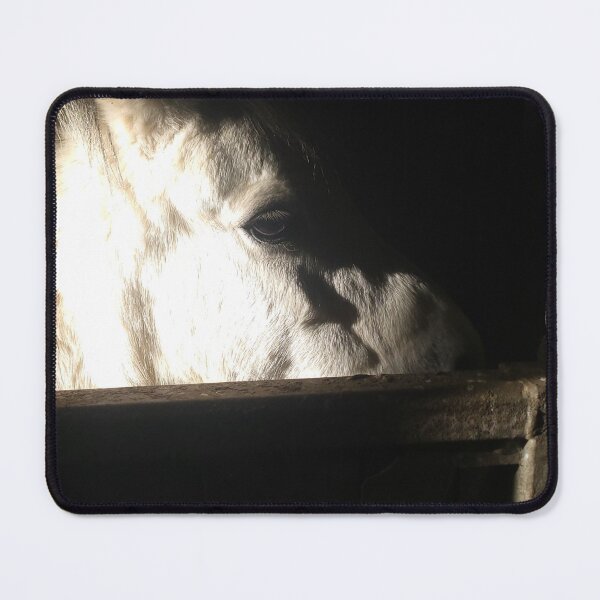 Item preview, Sunlit pony designed and sold by AnthonyThomas.