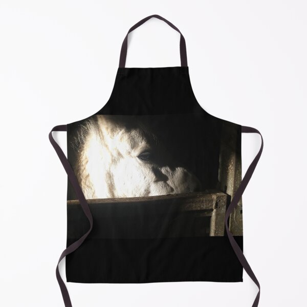 Item preview, Sunlit pony designed and sold by AnthonyThomas.
