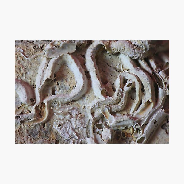 Item preview, Marine Worm Casts Formed Beneath Coastal Sand Layers designed and sold by Pierre de la Mare.
