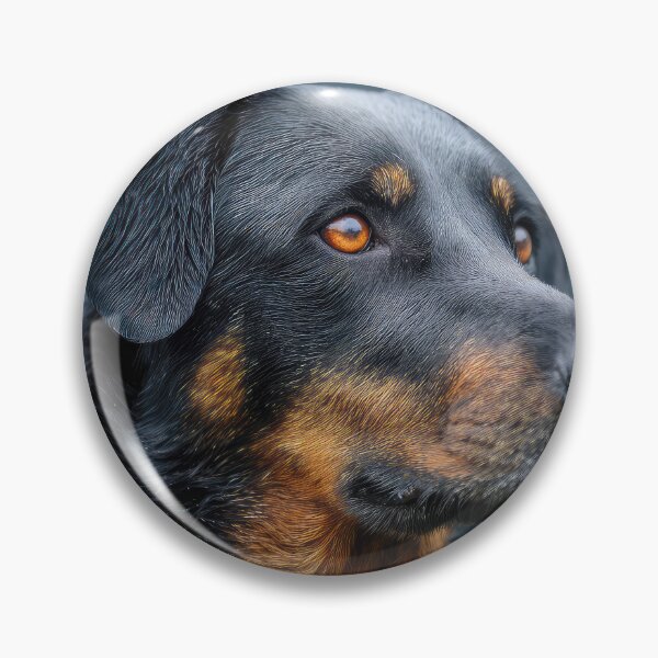 Item preview, Beauceron Portrait designed and sold by Elisabeth Lucas.