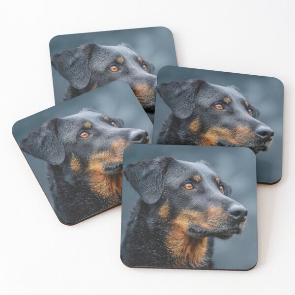 Item preview, Beauceron Portrait designed and sold by Elisabeth Lucas.
