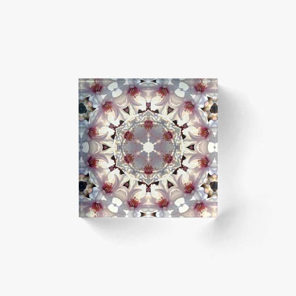 Item preview, Acrylic Block designed and sold by ElisabethFriday.