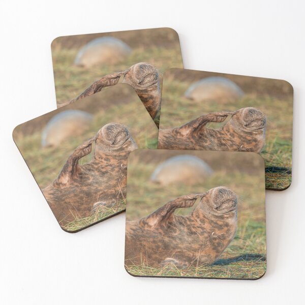 Item preview, Saluting Grey Seal: A Beachside Guardian designed and sold by Karen Dore Art & Photography.