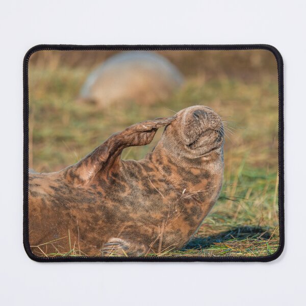 Item preview, Saluting Grey Seal: A Beachside Guardian designed and sold by Karen Dore Art & Photography.