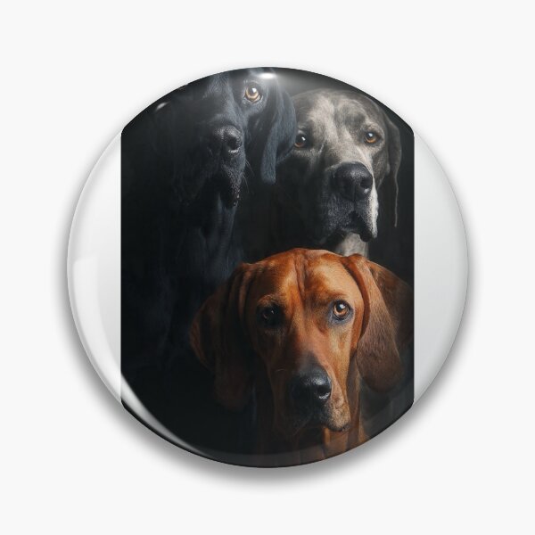 Item preview, Three Dogs Portrait – Dramatic Low-Light Photography designed and sold by kimkosovo.