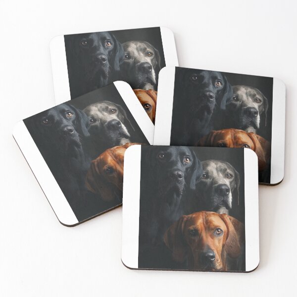 Item preview, Three Dogs Portrait – Dramatic Low-Light Photography designed and sold by kimkosovo.