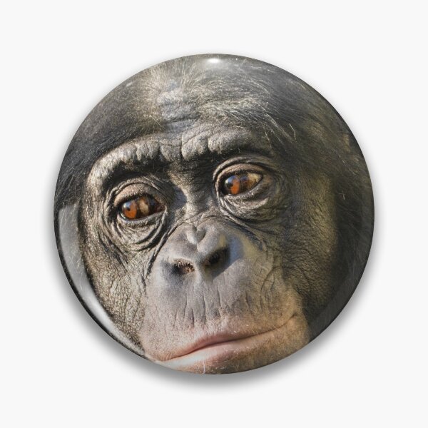 Item preview, Quiet Strength in the Gaze designed and sold by rawshutterbug.