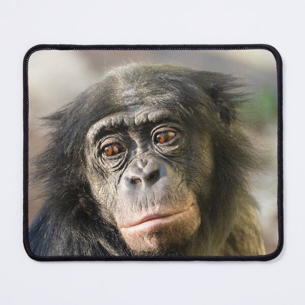 Item preview, Quiet Strength in the Gaze designed and sold by rawshutterbug.