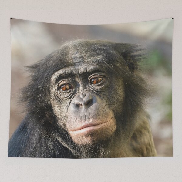 Item preview, Quiet Strength in the Gaze designed and sold by rawshutterbug.