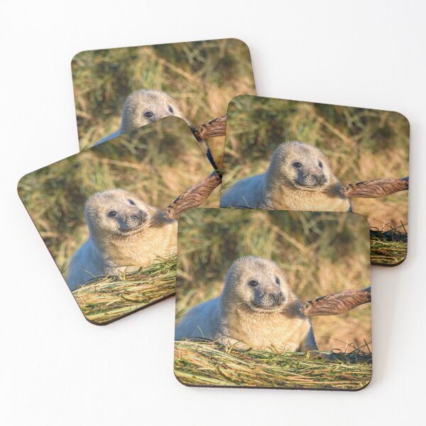 Item preview, Adorable Grey Seal Pup on the Beach designed and sold by Karen Dore Art & Photography.