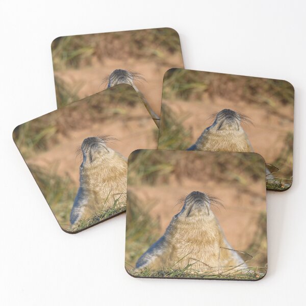 Item preview, Always Look Up designed and sold by Karen Dore Art & Photography.