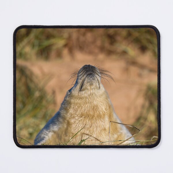Item preview, Always Look Up designed and sold by Karen Dore Art & Photography.
