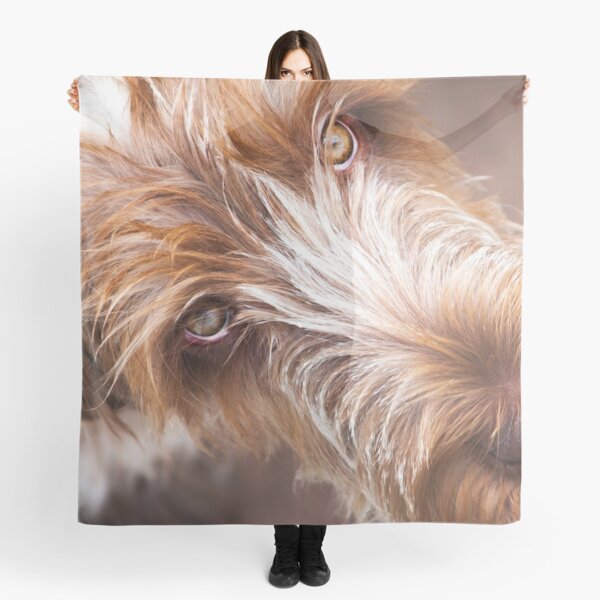 Brown Roan Italian Spinone Dog Head Shot Scarf