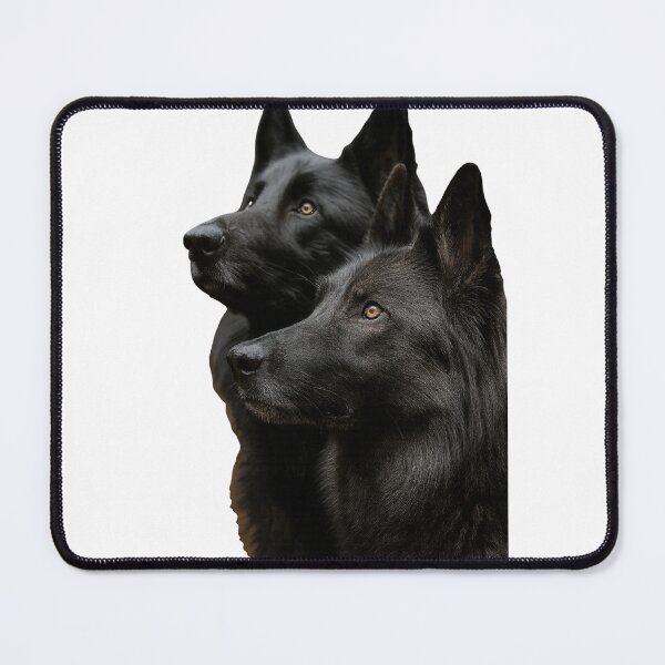 Item preview, Black German Shepherd Duo – Majestic Dark Wolfdogs Portrait designed and sold by kimkosovo.