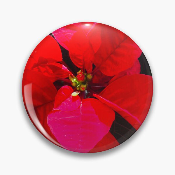 Item preview, Red Pointsettia Landscape designed and sold by Shannon Greve.