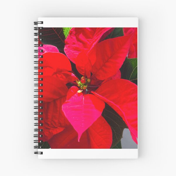 Item preview, Red Pointsettia Landscape designed and sold by Shannon Greve.