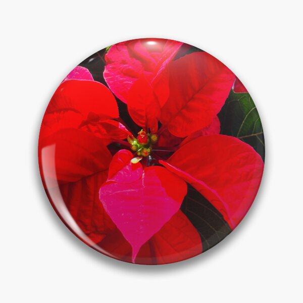 Item preview, Red Poinsettia Circle designed and sold by Shannon Greve.