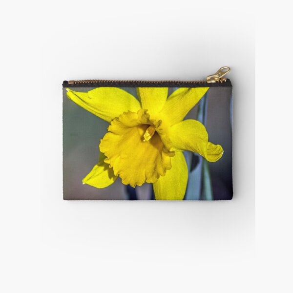 Item preview, Spring has sprung designed and sold by Paul Madden.