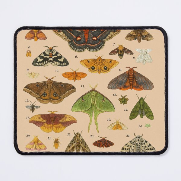 Item preview, North American Moths designed and sold by La Loca.