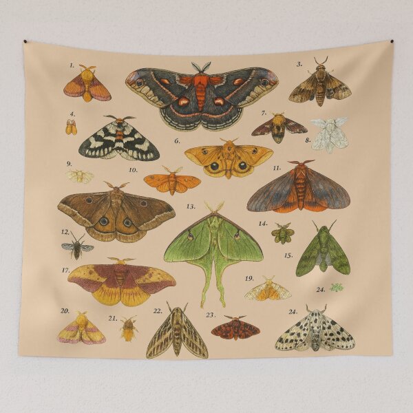 Item preview, North American Moths designed and sold by La Loca.