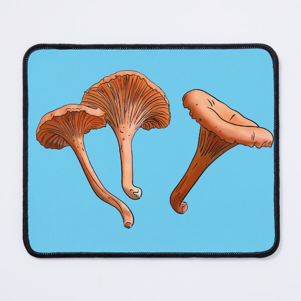 Item preview, Cinnabar Chanterelle (Cantharellus cinnabarinus) designed and sold by Cherie Brunetti.