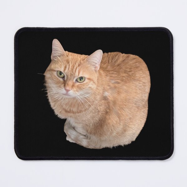 Item preview, Butterscotch Disapproves designed and sold by AiXeLsyD13.