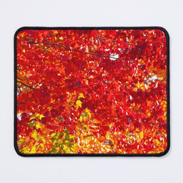 Item preview, Vibrant Fall Leaves Colors designed and sold by Michael Worley.
