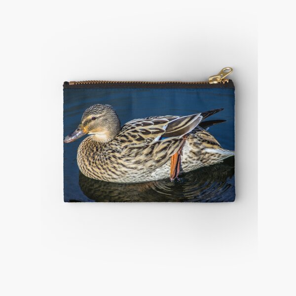Aperçu de l'œuvre Female Mallard Duck créée et vendue par Paul Madden.