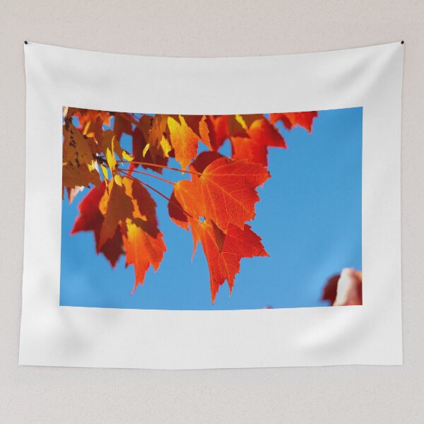 Item preview, Red Leaves of Autumn designed and sold by Michael Worley.