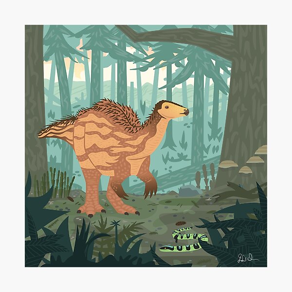Camptosaurus Photographic Print
