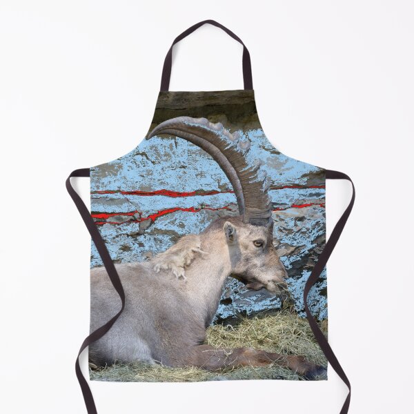 Item preview, Proud ibex – ruler of the mountains in a majestic pose / Swiss Artwork Photography designed and sold by Raphael Wolf.