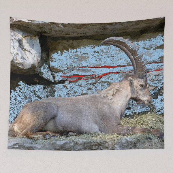 Item preview, Proud ibex – ruler of the mountains in a majestic pose / Swiss Artwork Photography designed and sold by Raphael Wolf.