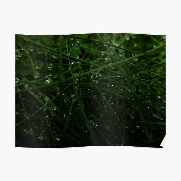 Look closer, you'll see diamonds! Poster