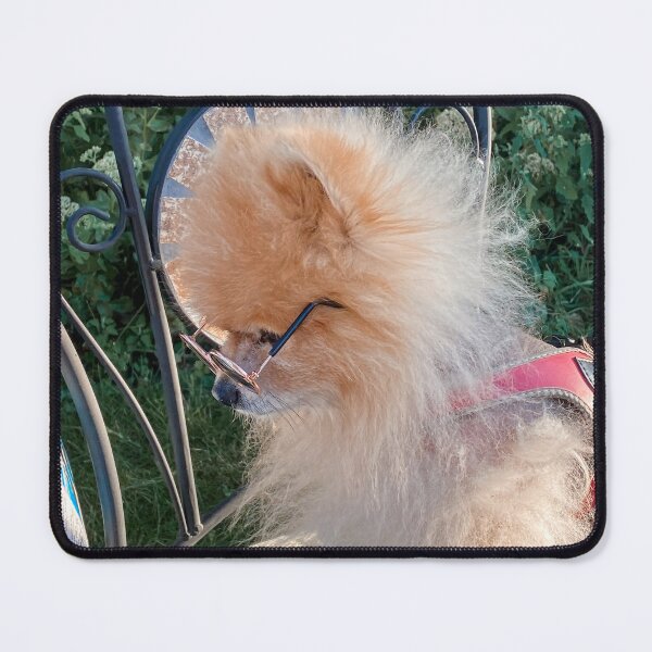 Item preview, Bafik the Reader – Pomeranian Lost in a Book designed and sold by TsvietkovaArt.