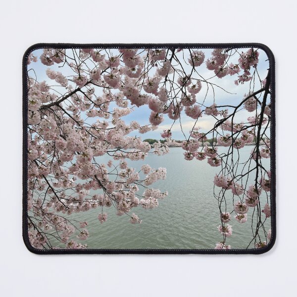 Item preview, Washington DC Tidal Basin Cherry Bloom designed and sold by CelticValkyrie.