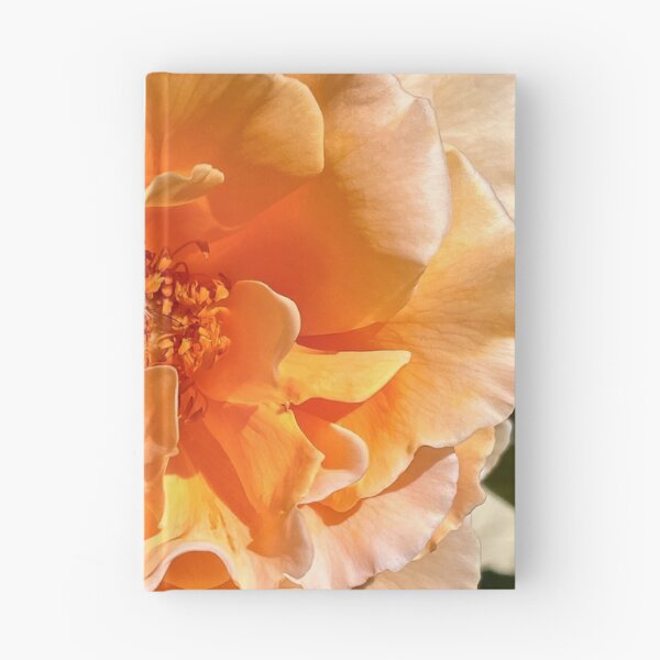 Item preview, Golden Peach Rose with Hoverfly – Macro Flower Photography designed and sold by Be Captured by Brittany Emma.