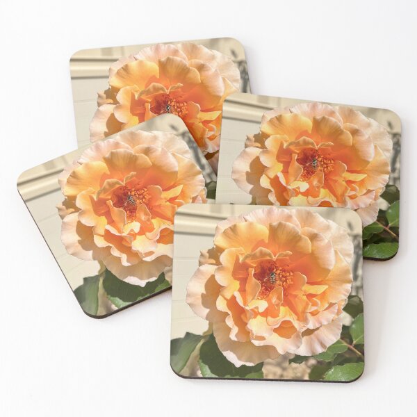 Item preview, Golden Peach Rose with Hoverfly – Macro Flower Photography designed and sold by Be Captured by Brittany Emma.