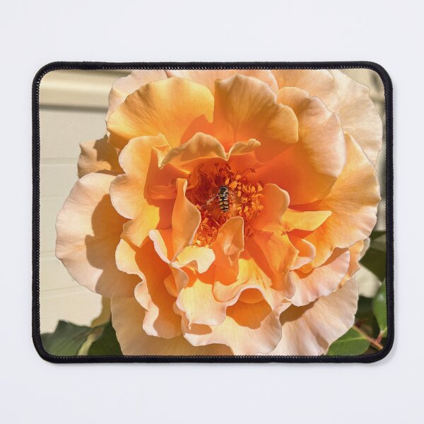 Item preview, Golden Peach Rose with Hoverfly – Macro Flower Photography designed and sold by Be Captured by Brittany Emma.