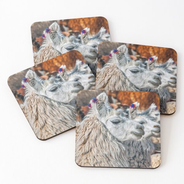 Item preview, Andean Llamas Portrait: Wool and Colors of the South American Highlands designed and sold by Keltoi-art.