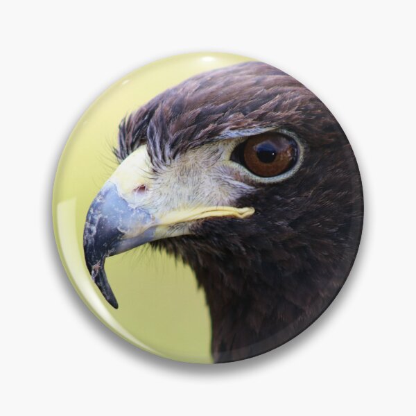 Item preview, Golden Eagle Portrait designed and sold by Kerri Ann McClellan.