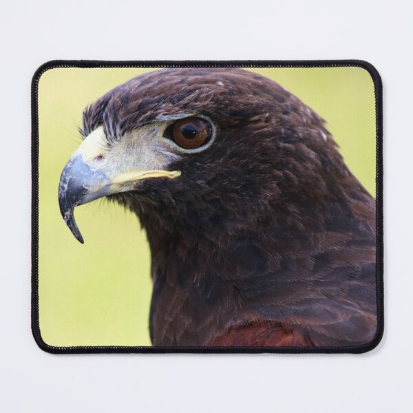 Item preview, Golden Eagle Portrait designed and sold by Kerri Ann McClellan.