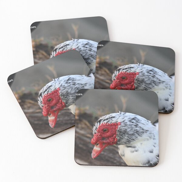 Item preview, Muscovy duck  designed and sold by Glennphotos.