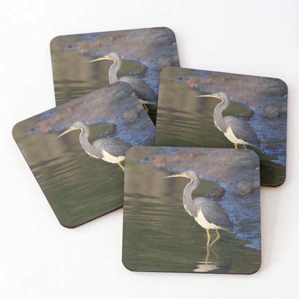 Item preview, Tri-colored Heron  designed and sold by Glennphotos.